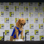 All the announcements from San Diego Comic-Con 2026