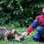 Bethlehem teen vying for a chance to be featured in Marvel comic